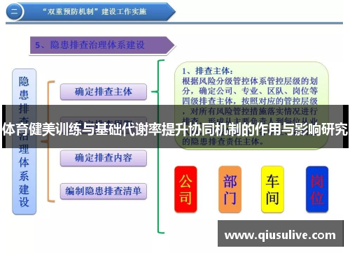 体育健美训练与基础代谢率提升协同机制的作用与影响研究